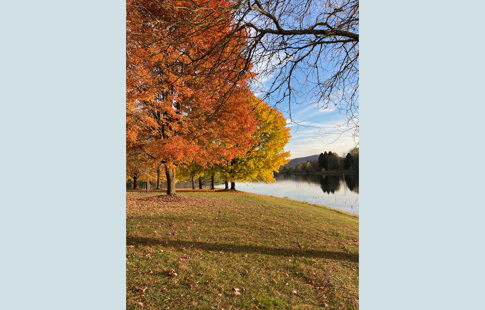 Image for Leaser Lake, New Tripoli, PA (Physical)